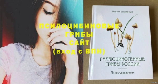 амф Костерёво