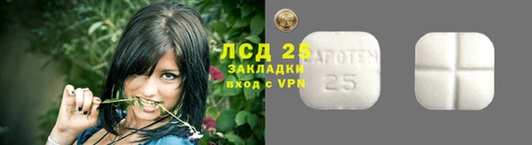 амф Костерёво