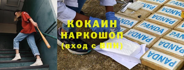 мдпв Корсаков