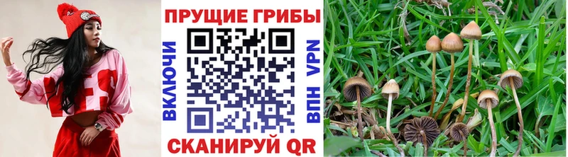 Галлюциногенные грибы мухоморы  купить   hydra зеркало  площадка официальный сайт  Орёл 